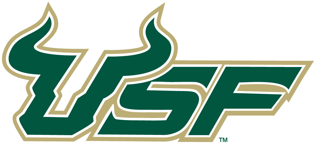 South Florida Bulls 2003-Pres Wordmark Logo v2 diy iron on heat transfer